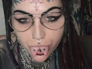 Adult Dominanyx